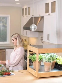 Low Bamboo LED Grow Light Garden -Outdoor Garden Care 8597720 0816 tif