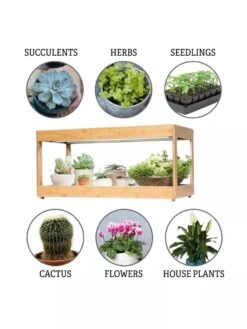 Low Bamboo LED Grow Light Garden -Outdoor Garden Care 8597720 3