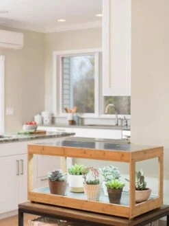 Low Bamboo LED Grow Light Garden -Outdoor Garden Care 8597720 9385 tif