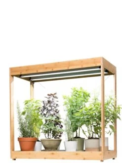 Medium Bamboo LED Grow Light Garden -Outdoor Garden Care 8597883 1011 tif