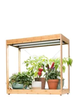 Medium Bamboo LED Grow Light Garden -Outdoor Garden Care 8597883 1013 tif