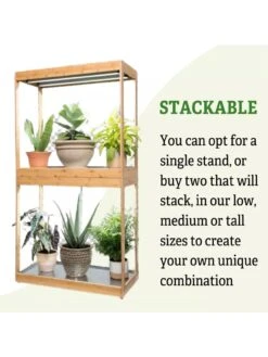 Medium Bamboo LED Grow Light Garden -Outdoor Garden Care 8597883 6