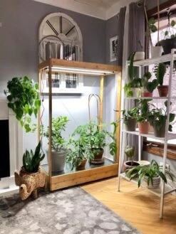 Tall Bamboo LED Grow Light Garden -Outdoor Garden Care 8597884 01IN tif