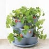 Stacking Strawberry Pot -Outdoor Garden Care 8597996 9004 tif