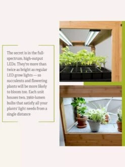 Bamboo LED Grow Light Garden For Succulents And Seeds -Outdoor Garden Care 8598084 7