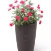 Weave Self-Watering Round Tall Planter, 12-1/2" 1 Weave Self-Watering Round Tall Planter, 12-1/2" -Outdoor Garden Care 8598371 3000 tif