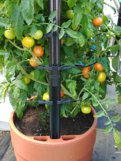 Gardener’s Victory Self-Watering Planter With Support System -Outdoor Garden Care 8598384 01EMP tif