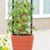Gardener’s Victory Self-Watering Planter With Support System -Outdoor Garden Care 8598384 6012 tif