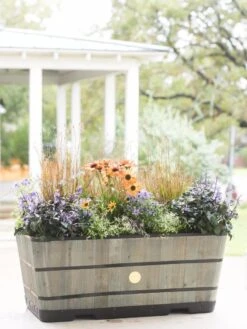 VegTrug™ Trough Planters -Outdoor Garden Care 8598402 08880 tif