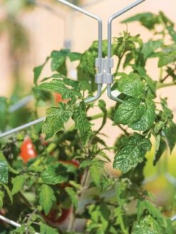 Gardener's Vertex Lifetime Tomato Cage -Outdoor Garden Care 8598426 0011 tif