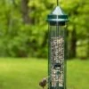 Brome® Squirrel Buster™ Classic Bird Feeder