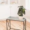 Plant Stand With Galvanized Tray -Outdoor Garden Care 8599022 14588 tif