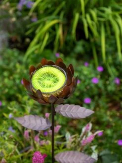 Dahlia Butterfly Feeder -Outdoor Garden Care 8599369 683 tif