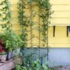 Achla Designs Waves Trellis -Outdoor Garden Care 8599491 01V tif