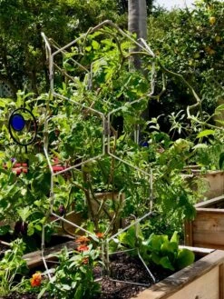 Gardener's Vertex Lifetime Pepper And Eggplant Cage -Outdoor Garden Care 8599554 01CUST tif