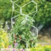 Gardener's Vertex Lifetime Pepper And Eggplant Cage 2 Gardener's Vertex Lifetime Pepper And Eggplant Cage -Outdoor Garden Care 8599554 3000 tif