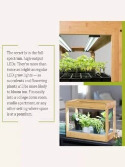 Bamboo Mini LED Grow Light Garden -Outdoor Garden Care 8599624 06