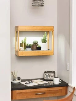 Bamboo Mini LED Grow Light Garden -Outdoor Garden Care 8599624 12872 tif