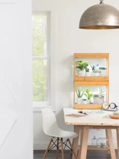 Bamboo Mini LED Grow Light Garden -Outdoor Garden Care 8599624 13244 tif