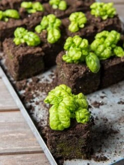 Soil Blocker, 4 Cell -Outdoor Garden Care 8599790 1057 tif