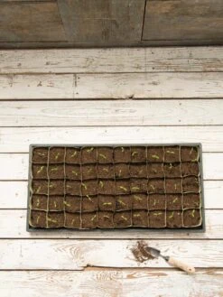 Paper Pots, 50 Cell 12 Paper Pots, 50 Cell -Outdoor Garden Care 8599830 18489 tif