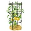 Titan Pepper Eggplant Cages, Set Of 3