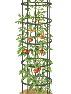Titan Tall Tomato Cages, Set Of 3 -Outdoor Garden Care 8599860 0002 art tif