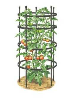 Titan Tomato Cages, Set Of 3 -Outdoor Garden Care 8599861 0001 art tif