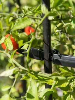 Titan Tomato Cages, Set Of 3 -Outdoor Garden Care 8599861 0079 tif