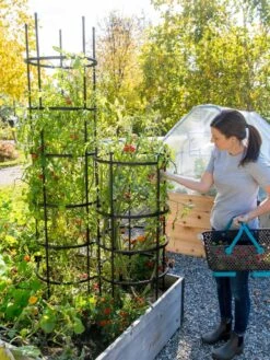 Titan Tomato Cages, Set Of 3 -Outdoor Garden Care 8599861 0114 tif