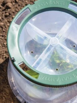 Sunny Forcing Cloches, Set Of 3 -Outdoor Garden Care 8600075 0742 tif