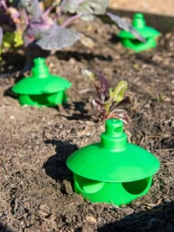 Slug And Snail Traps, Set Of 3 13 Slug And Snail Traps, Set Of 3 -Outdoor Garden Care 8600120 1788