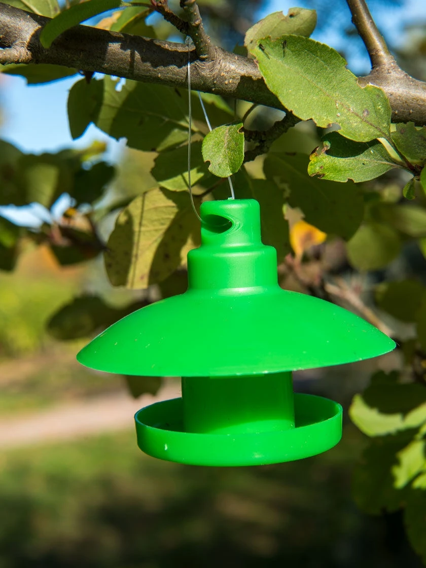 Slug And Snail Traps, Set Of 3 9 Slug And Snail Traps, Set Of 3 - Image 7