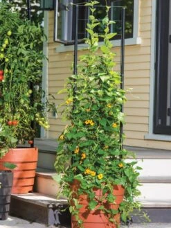 Gardener’s Victory Self-Watering Planter Garden With Vine Trellis -Outdoor Garden Care 8600175 0733 tif 1