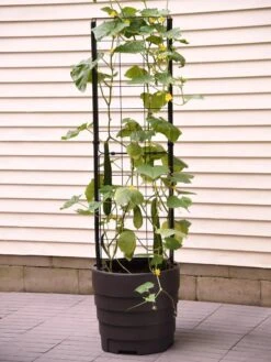 Gardener’s Victory Self-Watering Planter Garden With Vine Trellis -Outdoor Garden Care 8600177 9876 tif 1