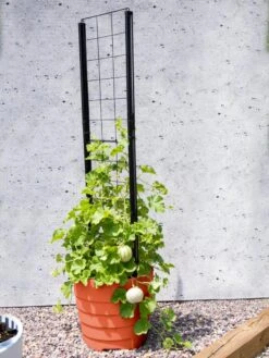 Gardener’s Victory Self-Watering Planter Garden With Vine Trellis -Outdoor Garden Care 8600178 05487 tif