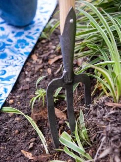Gardener’s Lifetime Perennial Fork With Short T-Handle -Outdoor Garden Care 8600311 3434 tif