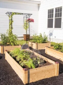 Copper Cap Raised Beds -Outdoor Garden Care 8600497 0530 tif