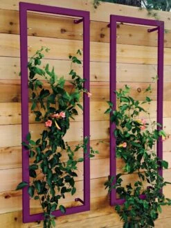 Ina Modern Wall Trellis Sr. -Outdoor Garden Care 8600510 02V tif