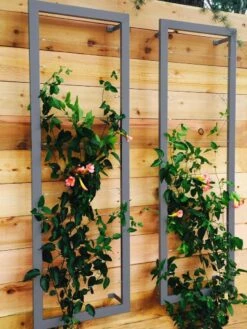 Ina Modern Wall Trellis Sr. -Outdoor Garden Care 8600510 08V jpg