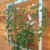 Ina Modern Wall Trellis Jr. -Outdoor Garden Care 8600512 07V tif