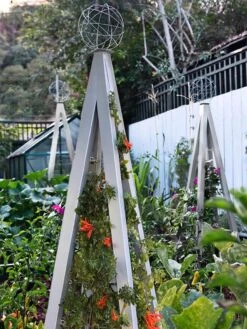 Akoris Garden Tuteur Jr. -Outdoor Garden Care 8600517 07V tif