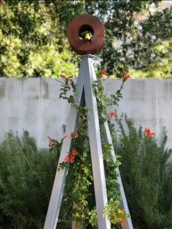 Bird Cafe + Akoris Garden Tuteur Sr. -Outdoor Garden Care 8600525 07v 1