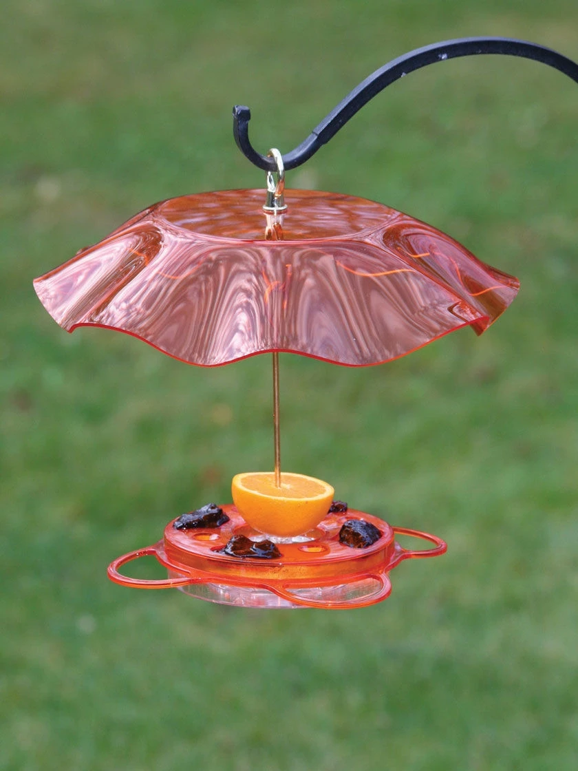 Birds Choice™ Oriole Feeder With Bee And Weather Guard 3 Birds Choice™ Oriole Feeder With Bee And Weather Guard