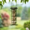Suet Ball & Feeder Combo Set -Outdoor Garden Care 8608919 0570 suet ball and feeder combo pack