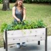 Self-Watering Eco-Stained Elevated Planter Box, 2' X 4' -Outdoor Garden Care 8608961 5040 tif