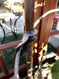 Garden Cane Connects, Set Of 6 -Outdoor Garden Care 8609019 03V tif