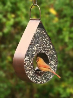 Teardrop Fly-Thru™ Bird Feeder -Outdoor Garden Care 8609054 02v