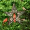 Star Fly-Thru™ Bird Feeder -Outdoor Garden Care 8609057 04v star fly thru bird feeder good directions