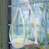 Dewdrop Window Bird Feeder -Outdoor Garden Care 8609061 02V tif